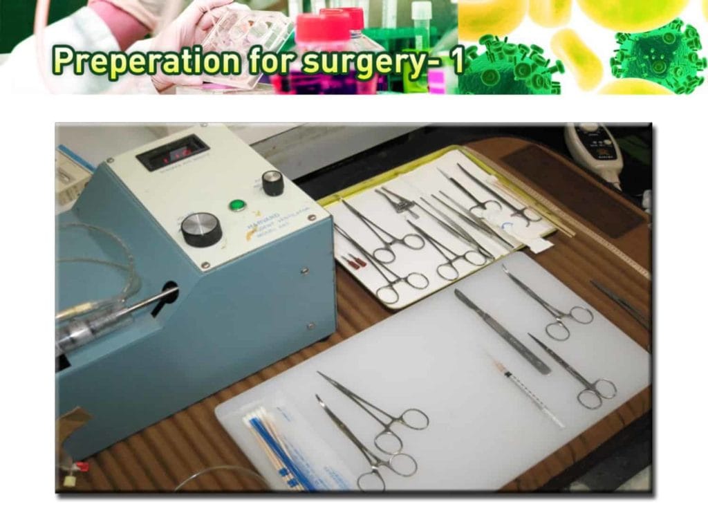 Sapporo_biomat_page-0012