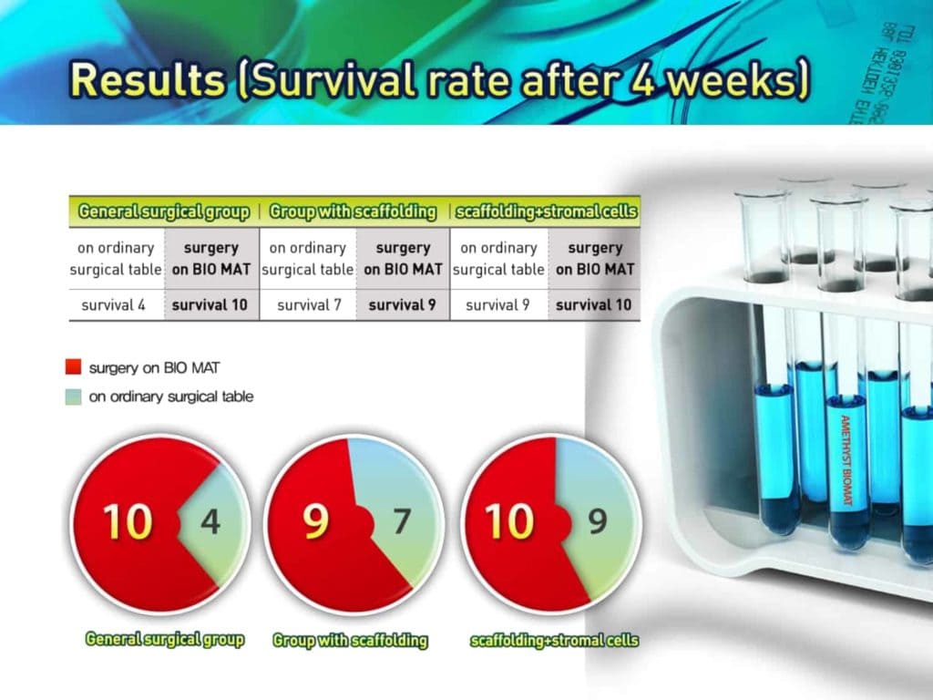 Sapporo_biomat_page-0015
