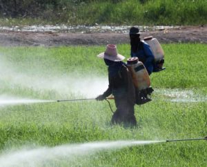 ThePureWaterSolutionatHome