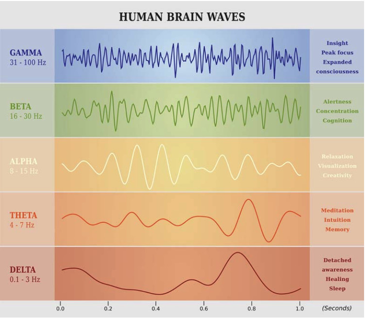 bioacoustic sound bed waves